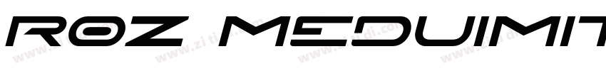 Roz MeduimItalic字体转换